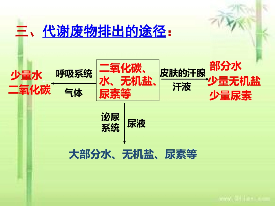 肾脏的结构和功能_第3页