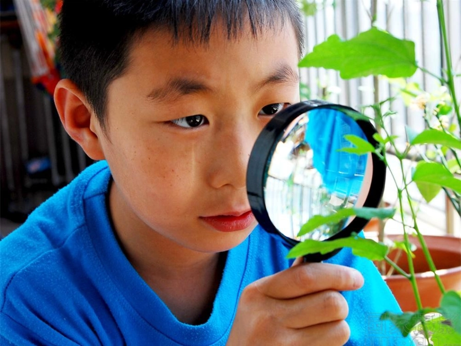 有趣的实验搭纸桥作文_第2页