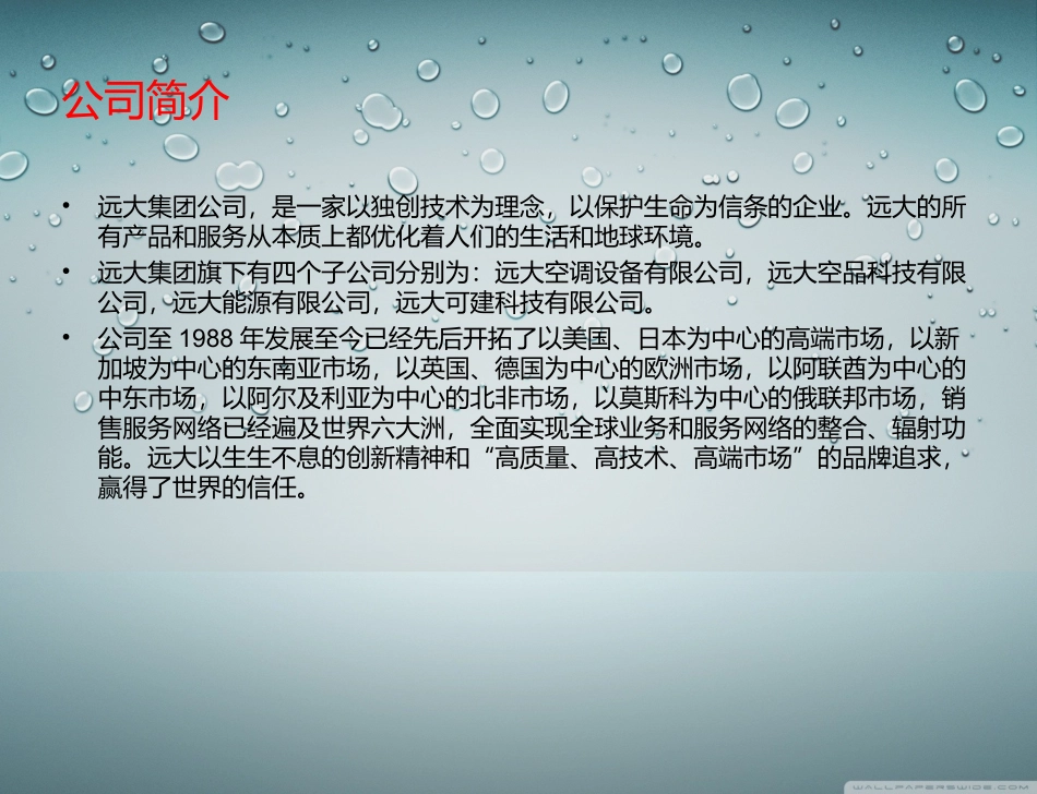 远大企业文化_第2页