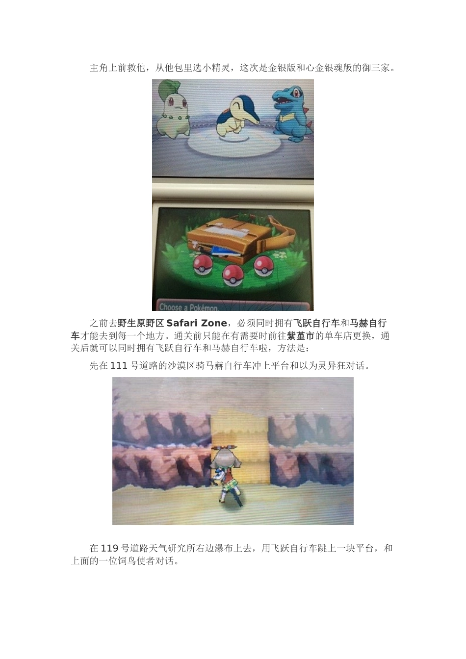 口袋妖怪ORAS三周目图文攻略_第2页