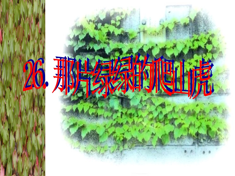 人教版小学四年级语文上册第26课那片绿绿的爬山虎教学课件_第1页