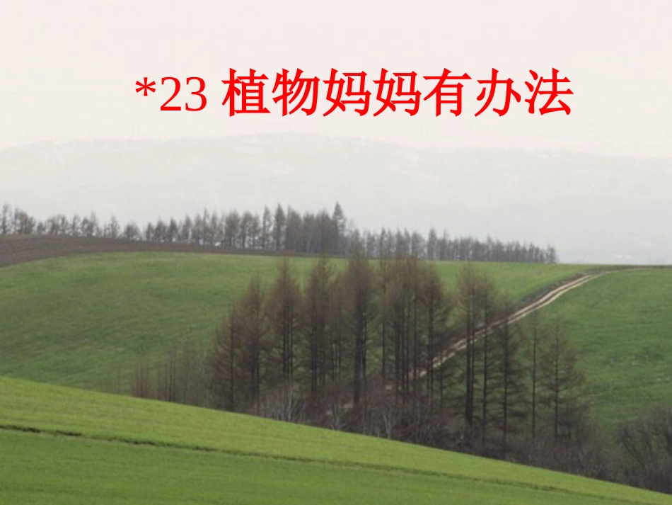 植物妈妈有办法(分析课文)_第1页