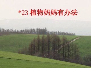 植物妈妈有办法(分析课文)