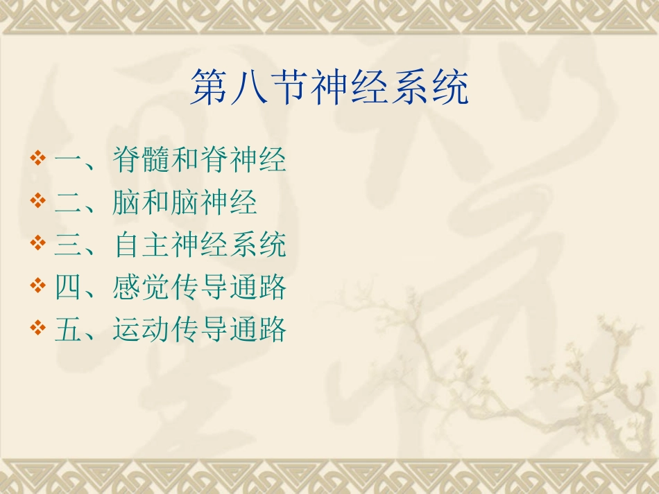 人体解剖学-神经系统_第1页