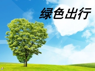 临沂小学主题班会——绿色出行