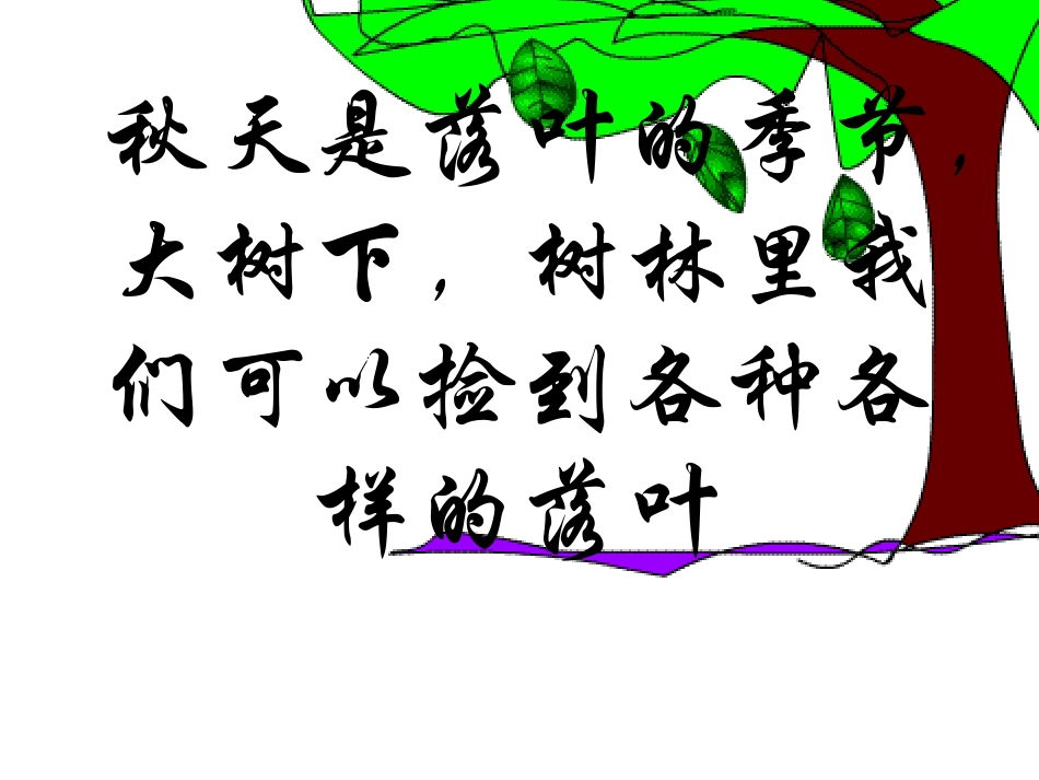教科版科学三年级上册《植物的叶》PPT课件4_第2页