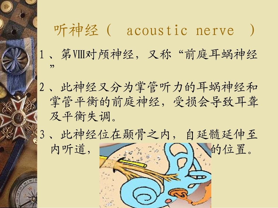 听神经瘤护理查房_第2页