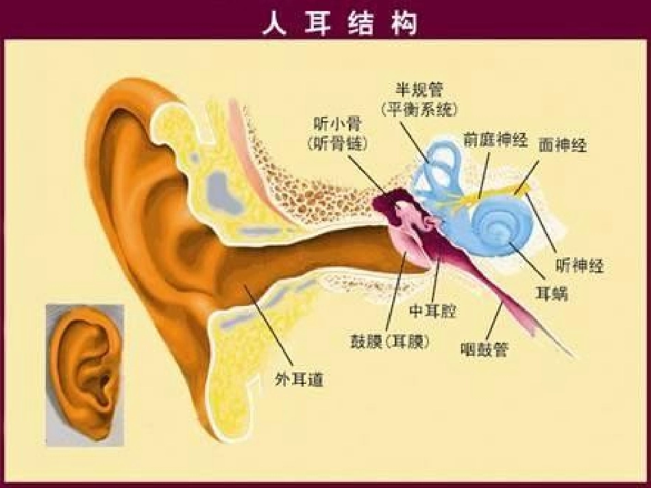 听神经瘤护理查房_第3页