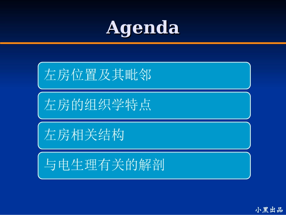 左房解剖学基础_第2页