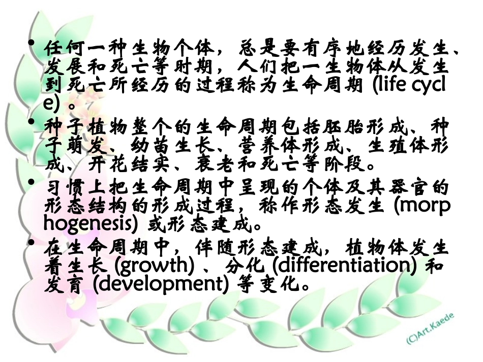 中国科学院大学植物生理学课件：第十章 植物的生长生理_第2页