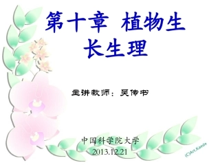 中国科学院大学植物生理学课件：第十章 植物的生长生理