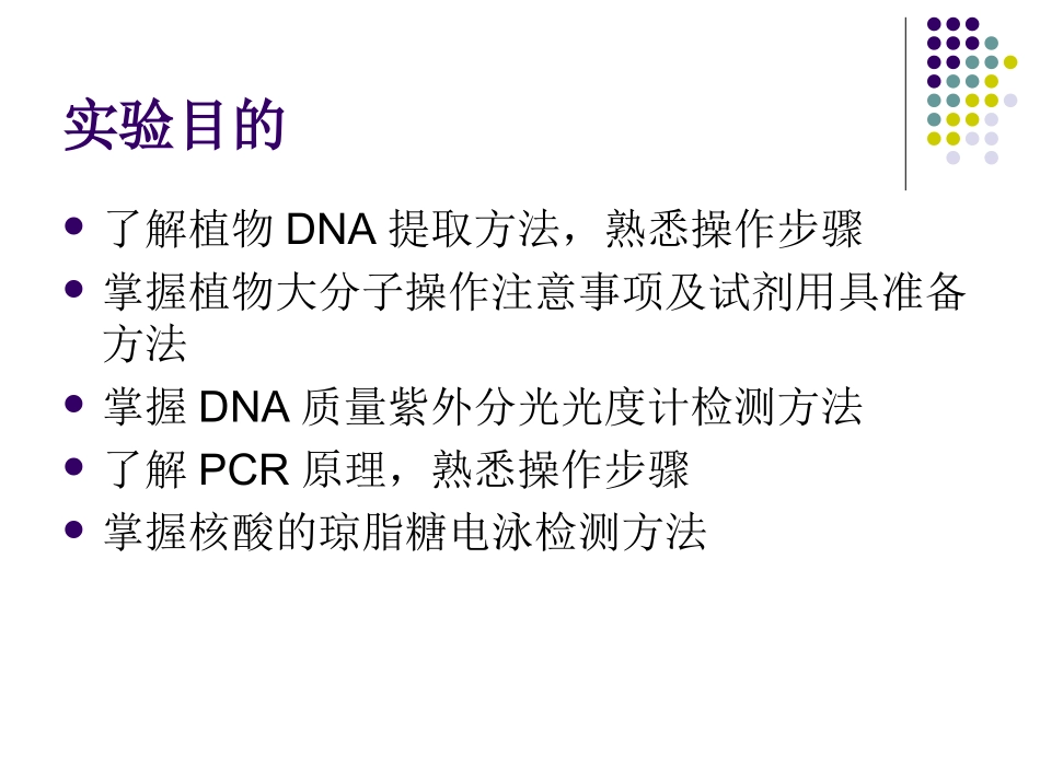植物生物工程实验二(植物DNA的提取)_第2页