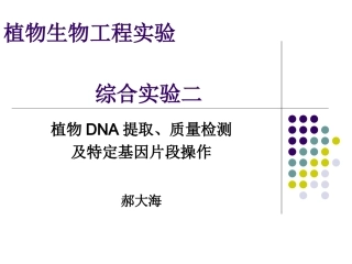 植物生物工程实验二(植物DNA的提取)