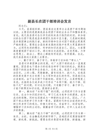副县长在团干部培训会发言