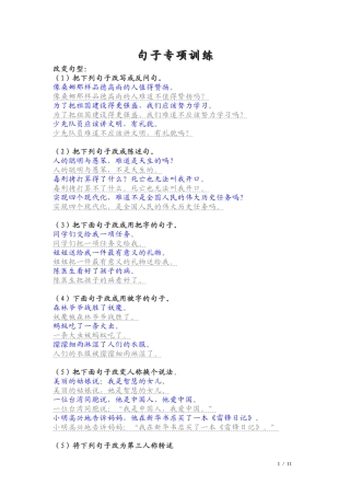 小学语文总复习_句子专项训练(答案)