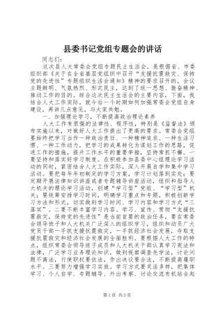 县委书记党组专题会的讲话