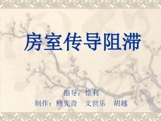 房室传导阻滞课件