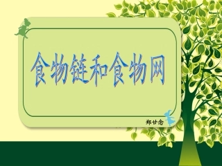 食物链和食物网PPT
