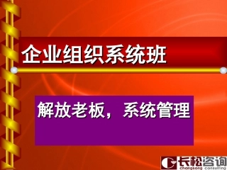 企业组织系统班课