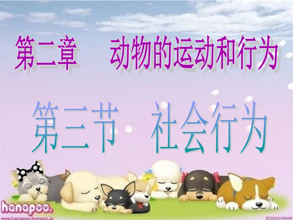 社会行为课件人教版_第2页