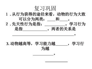 社会行为课件人教版