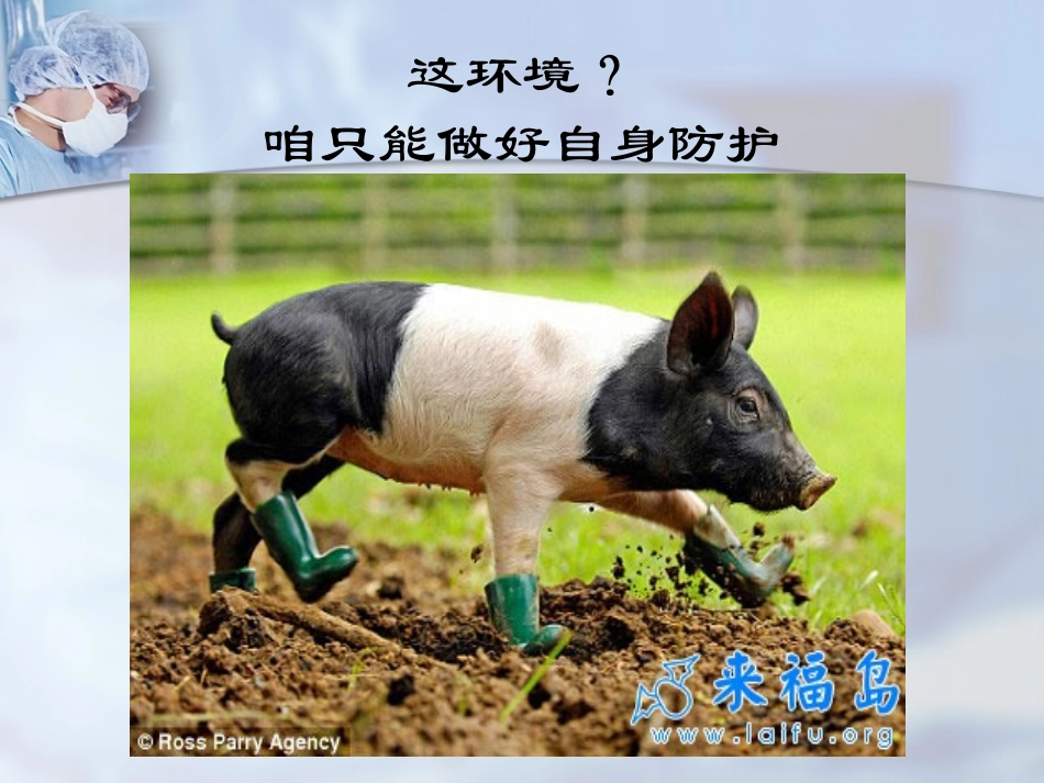 防护用品使用_第2页