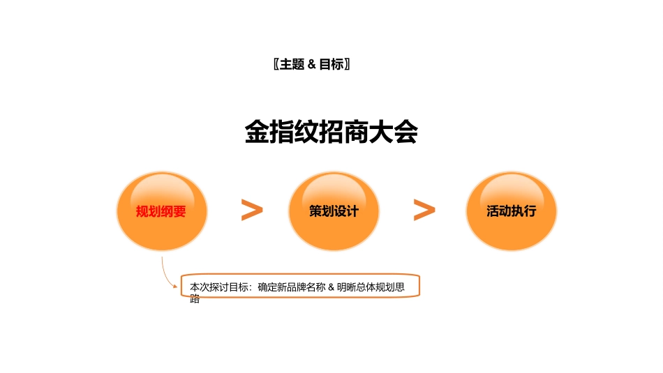 麦肯锡恩招商大会策划方案--金指纹_第2页