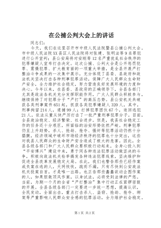 在公捕公判大会上的讲话