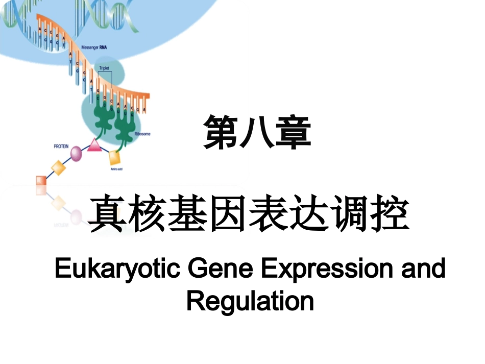 真核生物基因表达调控_第1页