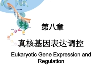 真核生物基因表达调控