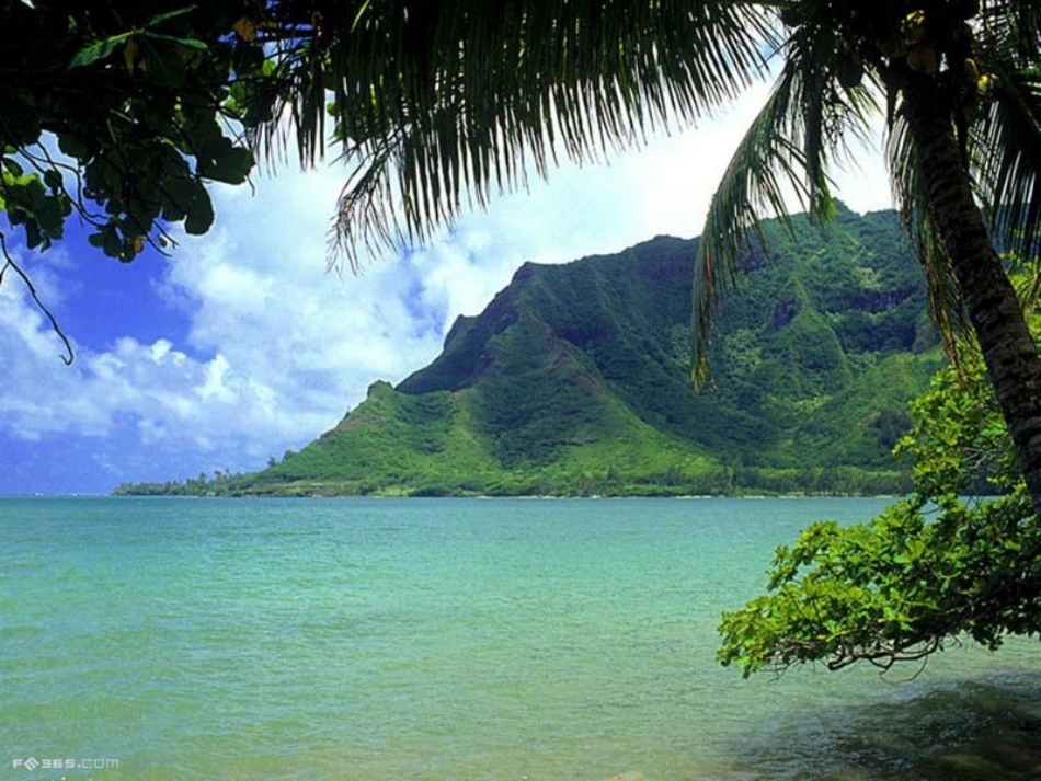 环保主题班会《节水护水,从我做起》PPT课件_第3页