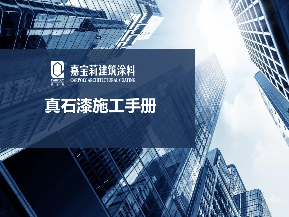 真石漆施工手册_第1页