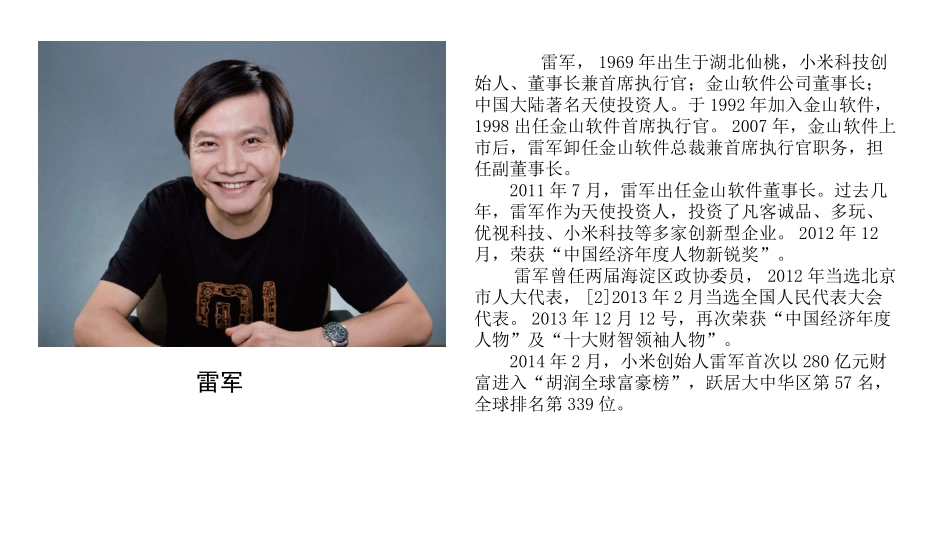 小米品牌设计案例_第3页