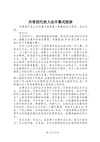 共青团代表大会开幕式致辞