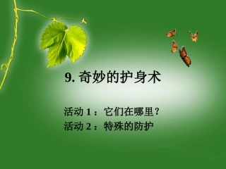 奇妙的护身术课件 (1)