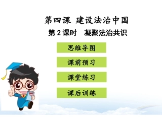 人教版道德与法治第2课时  凝聚法治共识