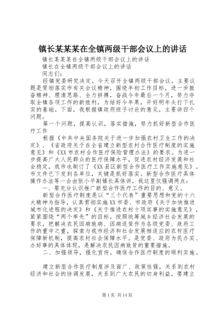 镇长某某某在全镇两级干部会议上的讲话