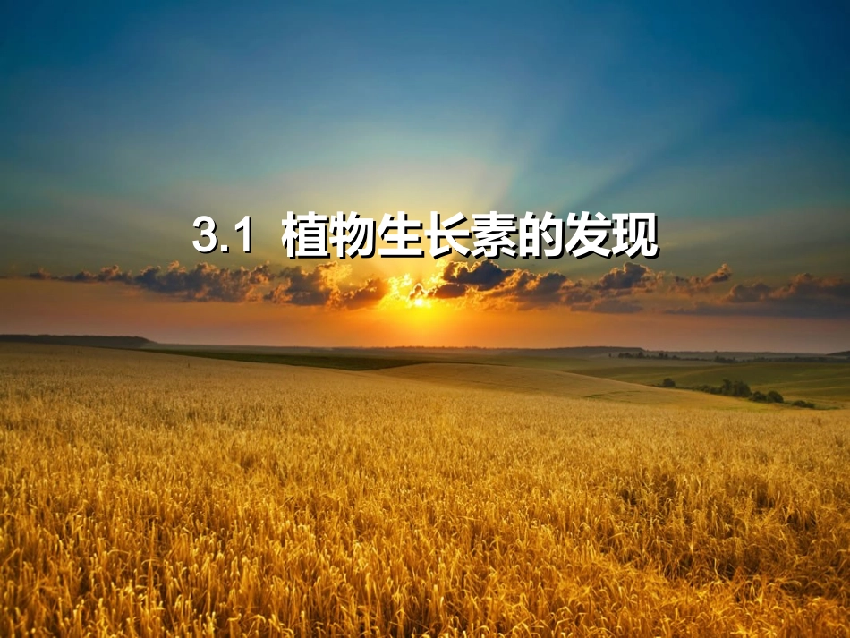 植物生长素的发现(精品,优质课,课件)_第1页