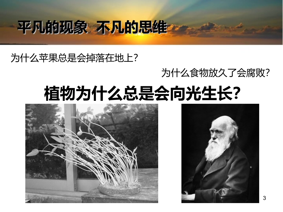 植物生长素的发现(精品,优质课,课件)_第3页