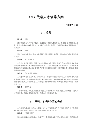 战略人才培养方案