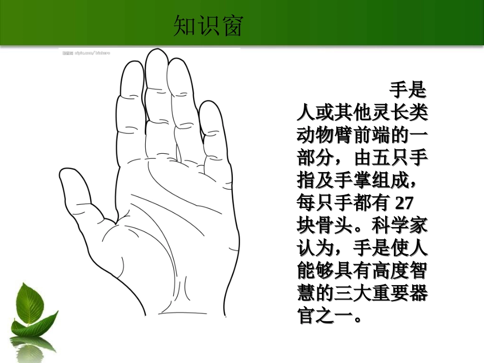 小学美术画一画自己的手课件_第3页