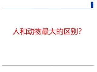 思维导图-小学生如何使用思维导图