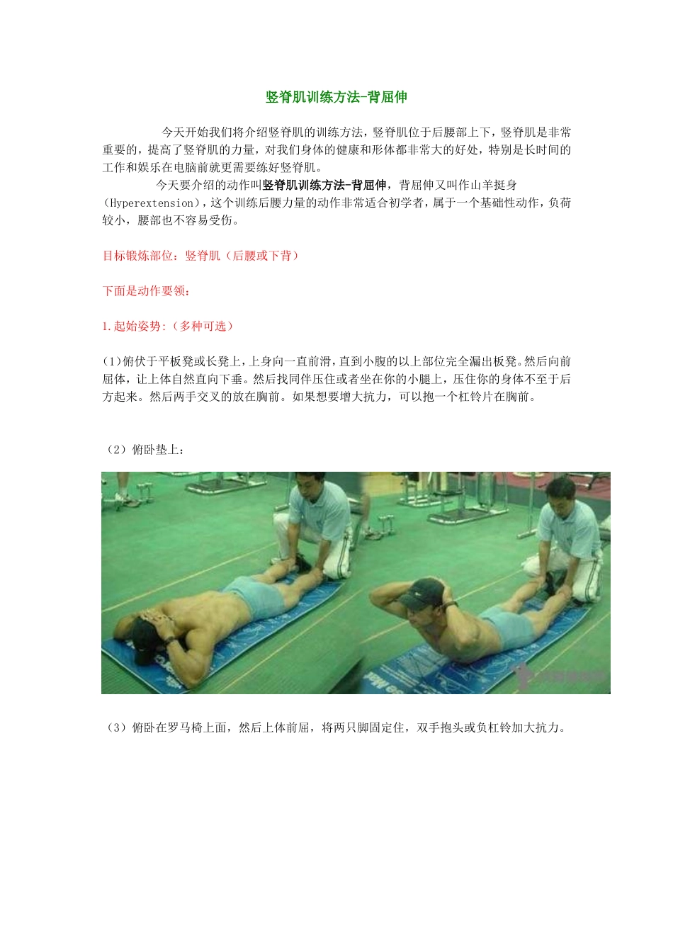 竖脊肌训练方法_第1页