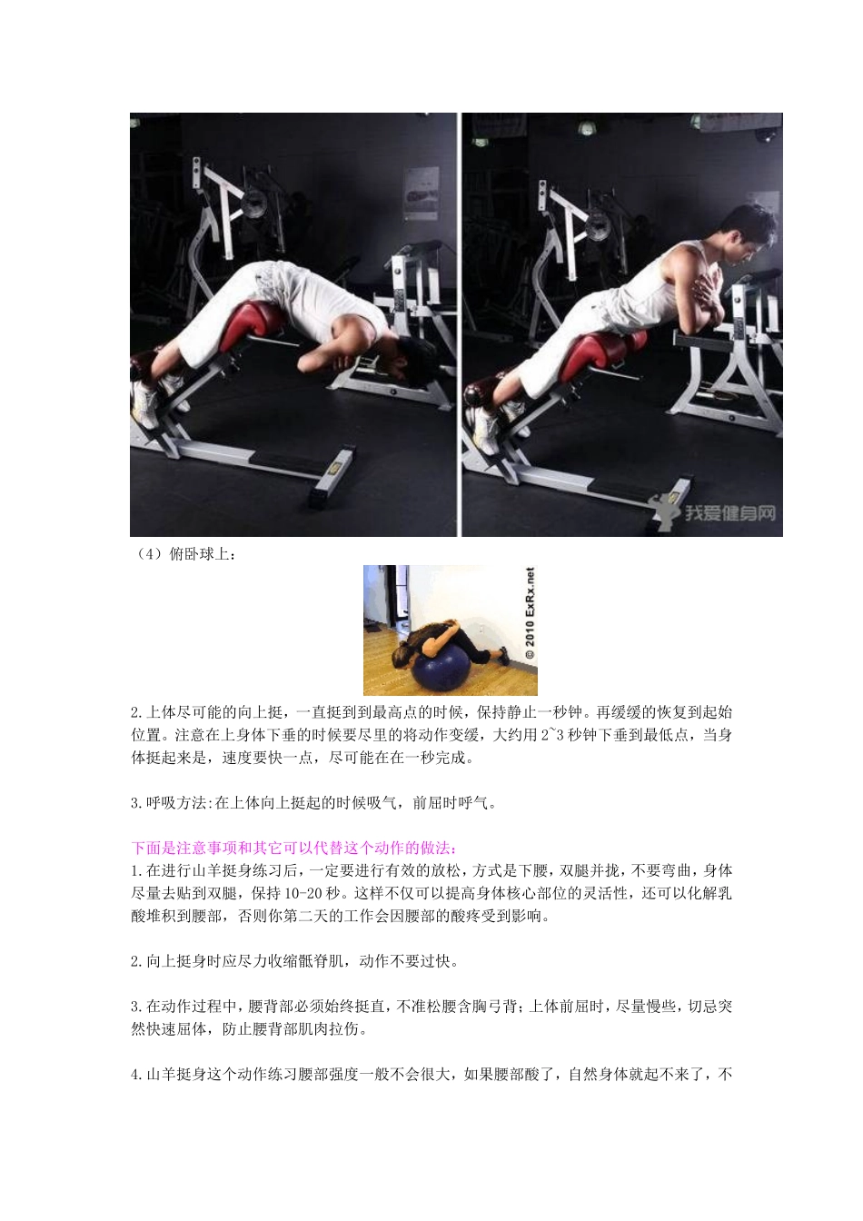 竖脊肌训练方法_第2页