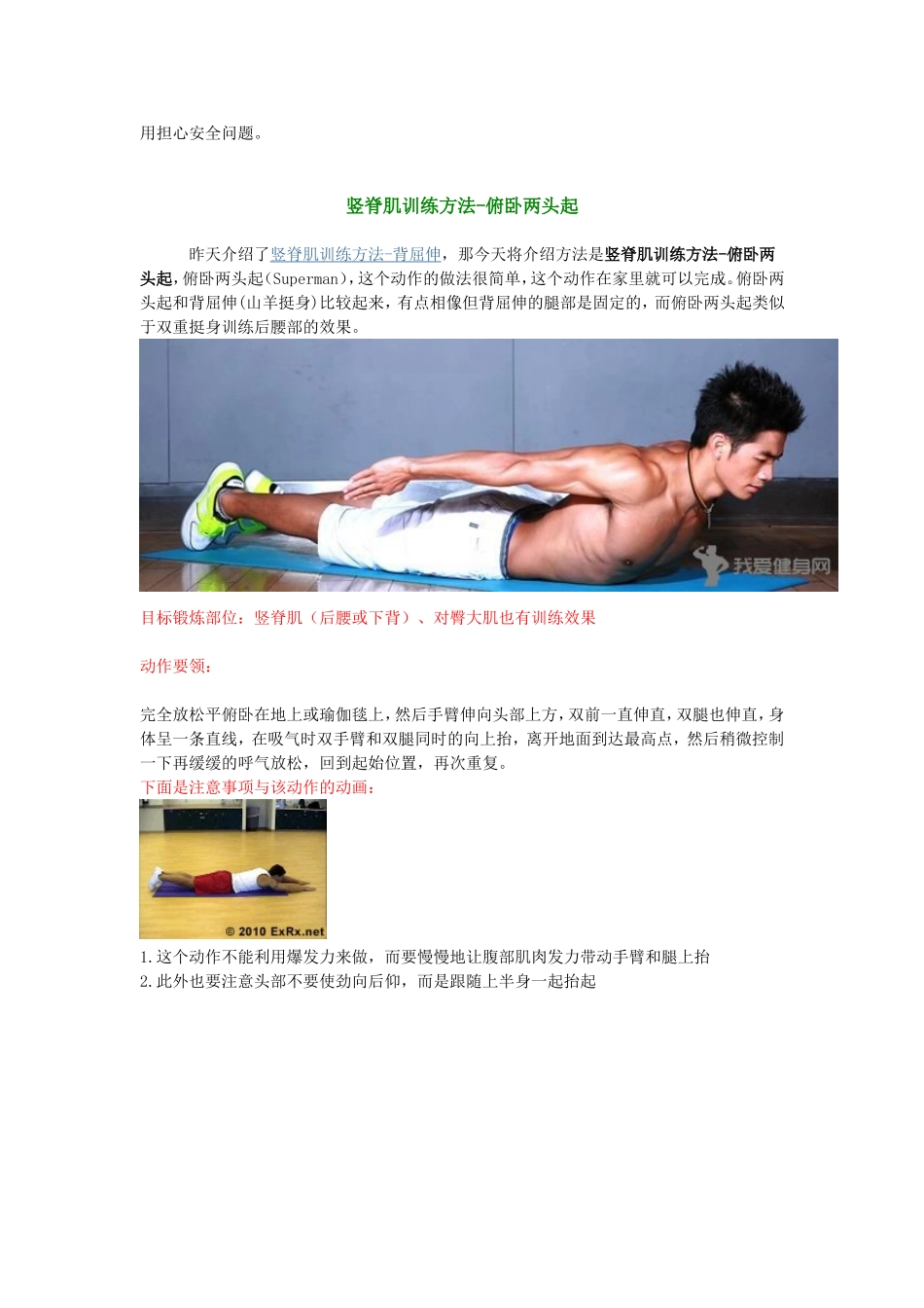 竖脊肌训练方法_第3页