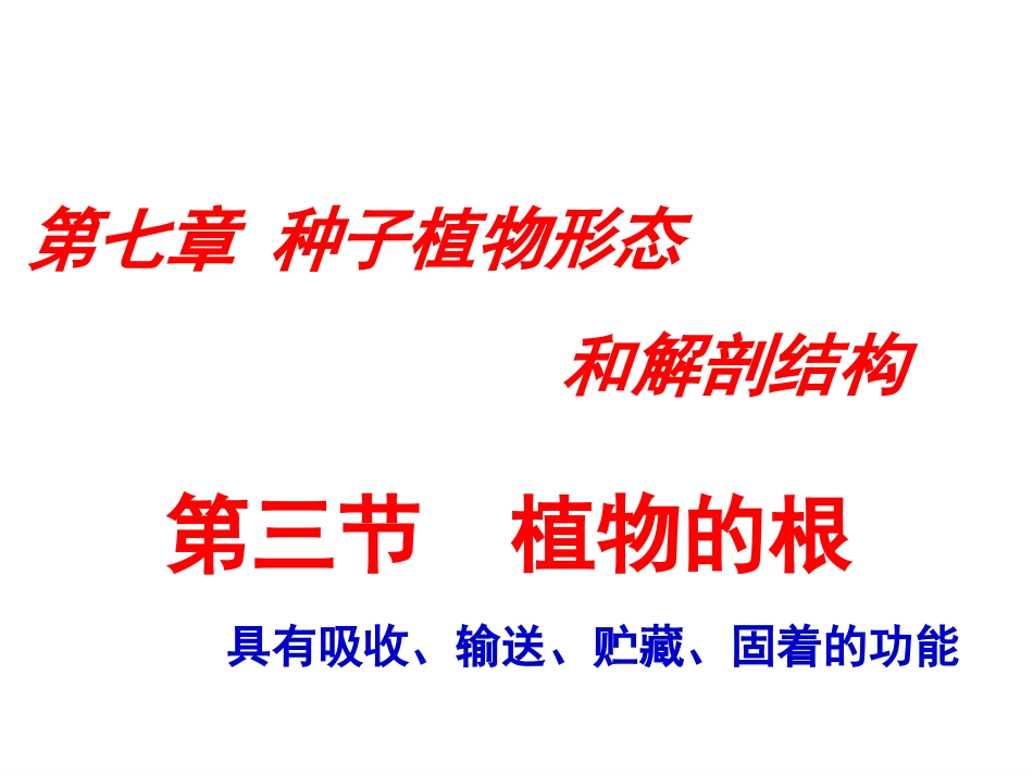 生物竞赛植物的根_第1页