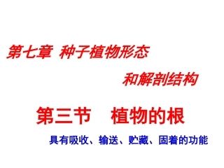 生物竞赛植物的根