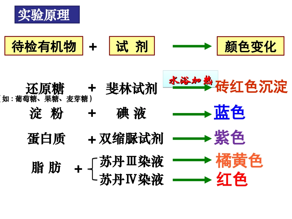 糖类脂肪蛋白质的检测_第1页