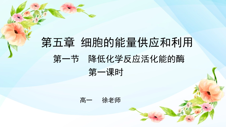 降低化学反应活化能的酶_第1页