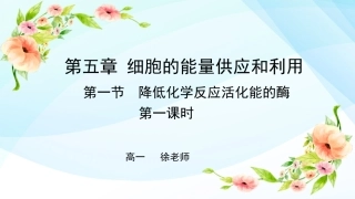 降低化学反应活化能的酶